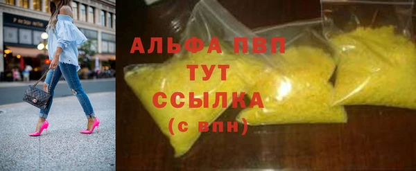 стафф Алексин