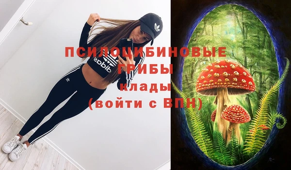 круглые Алзамай