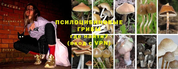 круглые Алзамай